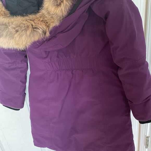 Purple Canada Goose - Picture 3 of 8